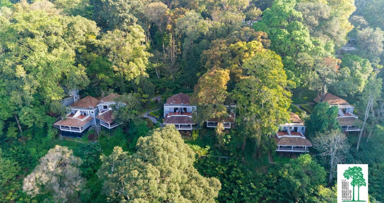 The Tall Trees Munnar Ngoại thất bức ảnh