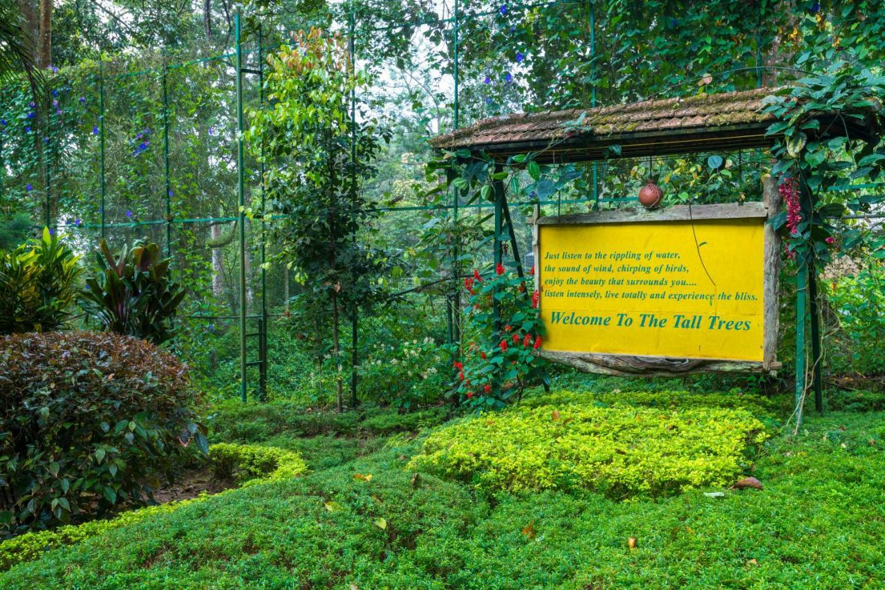 The Tall Trees Munnar Ngoại thất bức ảnh